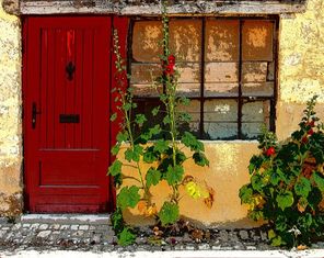 Old cottage with hollyhocks art print