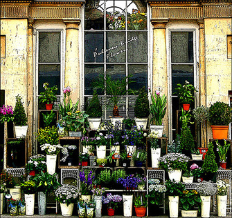 gardens,flowers,shop,Bath