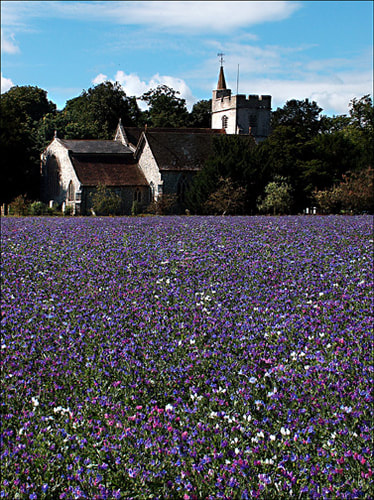 church,countryside,landscape