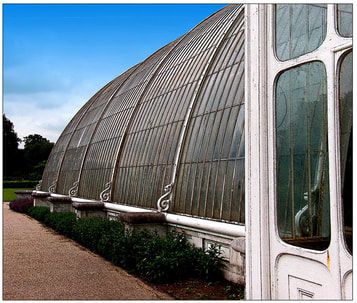 glasshouse,greenhouse,kew