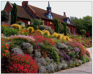 gardens,flowers,faversham