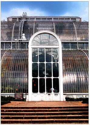 glasshouse,greenhouse,kew